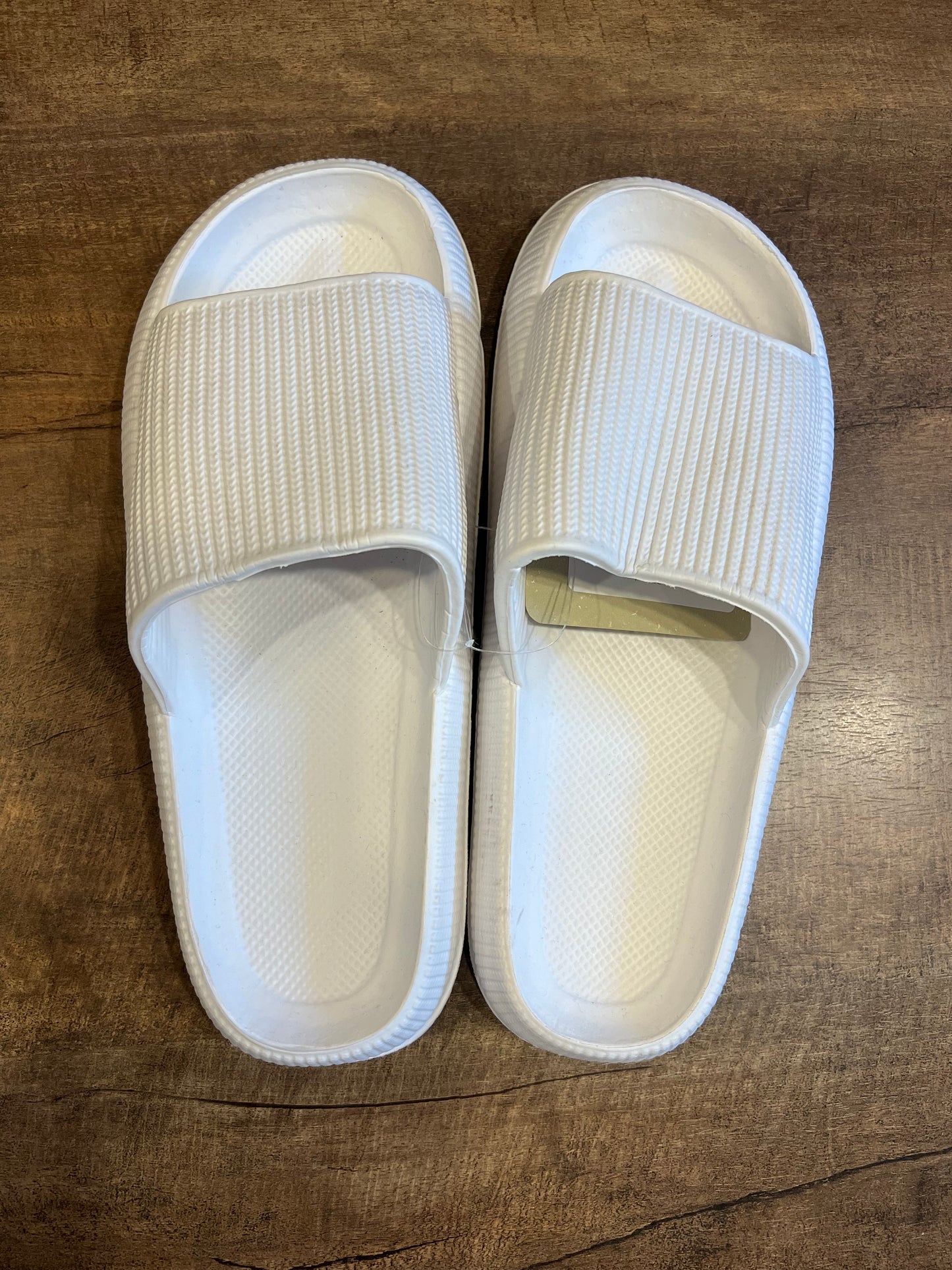 Basic Jelly Slides- MULTIPLE COLOR OPTIONS