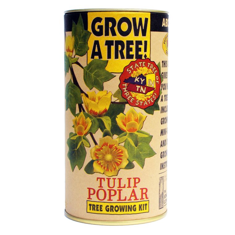 Tulip Poplar | Seed Grow Kit | The Jonsteen Company