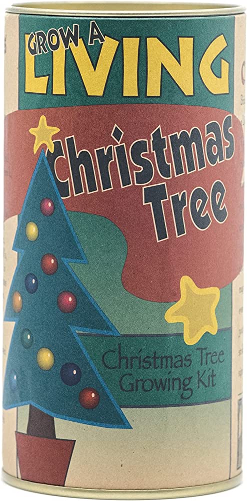 Living Christmas Tree Seed Grow Kit - Multiple Tree Types